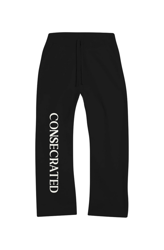 Heavyweight Terry Pant